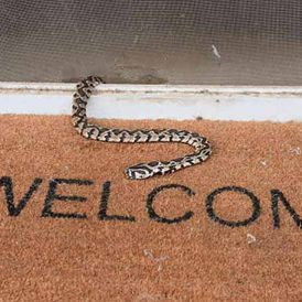 Snakes on a Farm Image